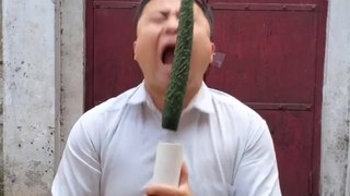 Mesin makan mentimun otomatis! Desainnya sangat keren!