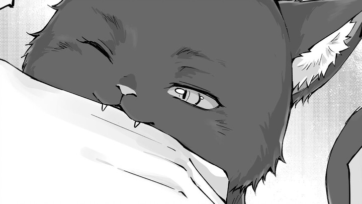 【2P Comics】The sickly house cat who loves playing the most