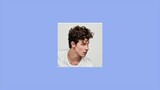 Shawn Mendes Best Songs