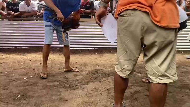 2ndday tupada 3rd fyt win