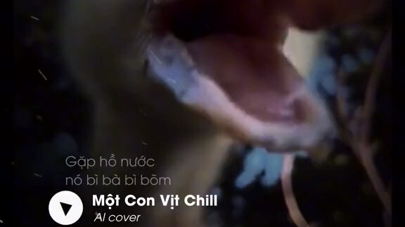 Một con vịt này hoi buồn:)