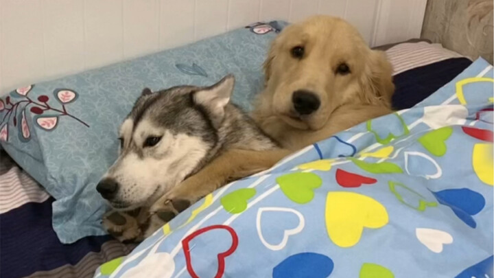 يا له من سوء حظ في باب المنزل، لا يمكن التوقّي منه.