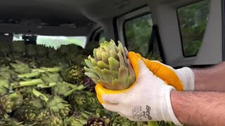 Mengangkut satu gerobak—ini cukup untuk menumis sepiring sayur, kan?