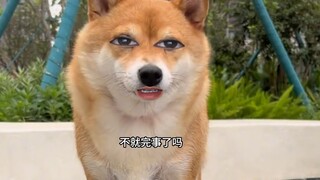 Incorrect passcode entered