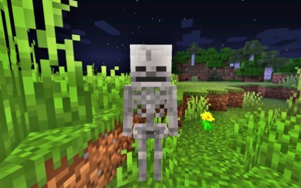 Minecraft: A Beginner and the Realistic Pig MOD (