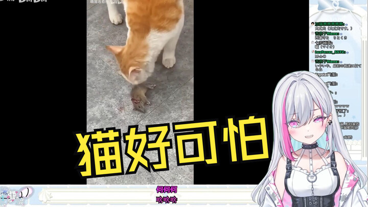 日v看《猫：我给你带礼物了！》：猫好可怕