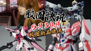 【5月30日胶圈快讯】