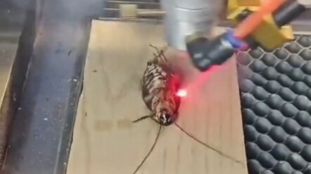 الخضوع للتعذيب بالليزر في جحيم السيبرانية