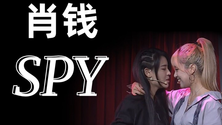 【肖钱】spy