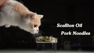 Animal|Cat Eats Meat