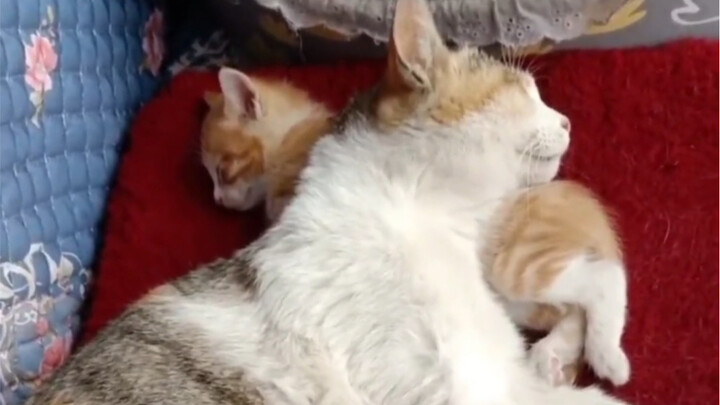 Lần đầu dính bẫy con cái, mong mọi người thông cảm!