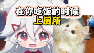 把猫惯坏的三个表现