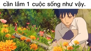 1 cuộc sống ta hằng mong ước#dailyvlog#life#chill