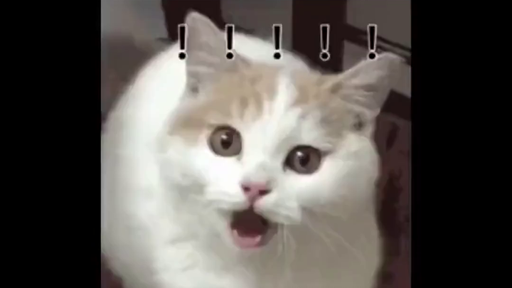 Sau khi thất bại trong việc làm bột sen hoa quế, cư dân mạng liền chế giễu nhau