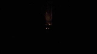 Vụ sát hại nhà Murdaugh: Bê bối tại South Carolina EP 3 [Sub Việt]