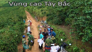 Tây Bắc Mùa Hái Cà Phê /Hoàng Việt Tây Bắc