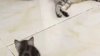 小小年纪就成了背锅侠