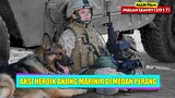 Aksi Heroik Anjing Pelacak Di Medan Pertempuran | Alur Cerita Film MEGAN LEAVEY (2017)