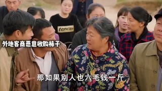 “村民为了多赚一毛钱，竟把谈好的柿子全卖给外地客商”