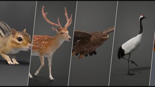 Enjoy the hyper-realistic animation of various animals~ This sense of reality is amazing~
