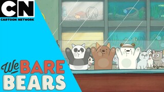 We Bare Bears สามหมีจอมป่วน | ร้านขายสัตว์เลี้ยง | Cartoon Network