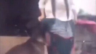 An Unsurpassable Classic [70]