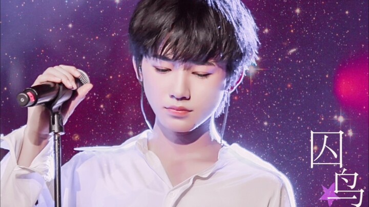 【Song Yaxuan】A fifteen-year-old boy covers the classic hit “Captive Bird,” singing right at the came