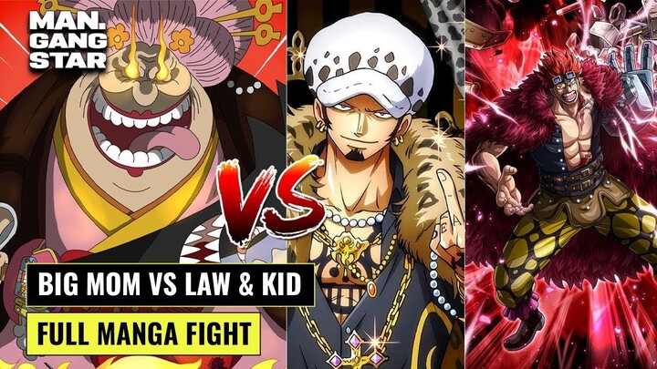 KID Và LAW Vs BIG MOM!!!