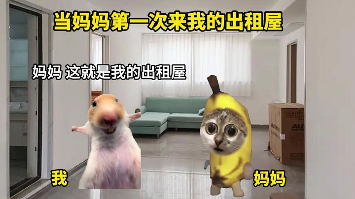 When Mom Visited My Rental Apartment for the First Time