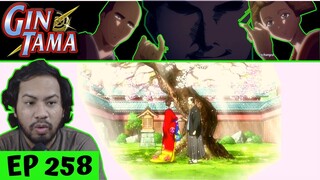 PLOT TWIST! I DID NOT SEE THIS COMING!😲 | Gintama Episode 258 [REACTION]