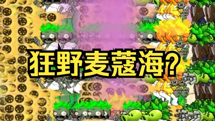 【Dave’s house is really fireproof!】 Wild Maykou Sea? 【No car】