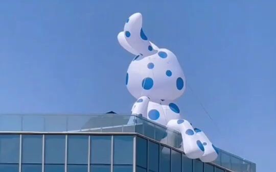 Kunming’s romance isn’t just its blue skies and white clouds—it’s also the little bunny chilling on 