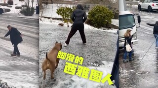 现在每个西雅图人脚底都在打滑，每个人都在跳《冰上圆舞曲》