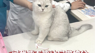 المستخدمون في هذا الجيل رائعون جدًا، فقد شخصوا لي فطريات القطط من النظرة الأولى، شكرًا جزيلًا!