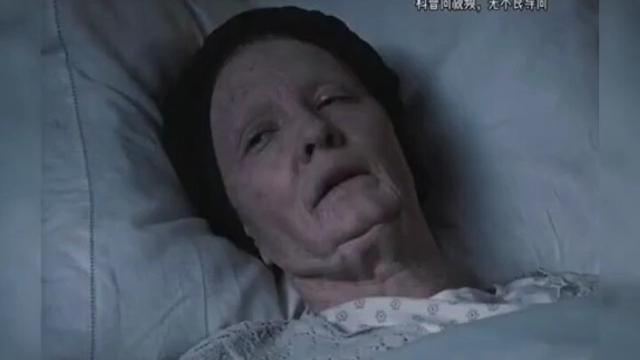 Apakah Hewan Peliharaan Benar-Benar Sahabat Terbaik Manusia? #HewanPeliharaan #FaktaAneh #HewanAjaib