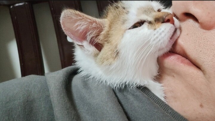 Cat: Mom says if I want to be liked, I’ve got to be the first to show warmth when I visit other peop