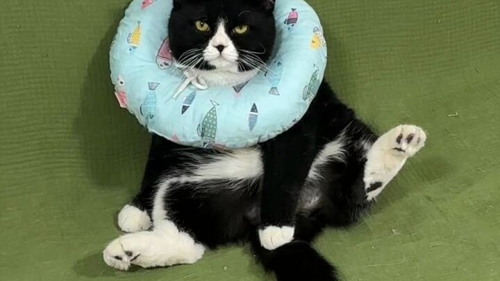 I was moved. He secretly gave birth to a child without my knowledge before the egg was cut.