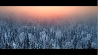Walk Thru Fire (Lyrics) âm nhạc nước ngoài #musichaynhat