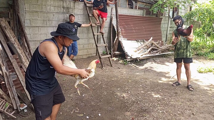 batang quality vs Tagalog na Malaki magulang
