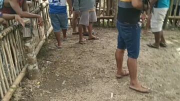 sabong pinas