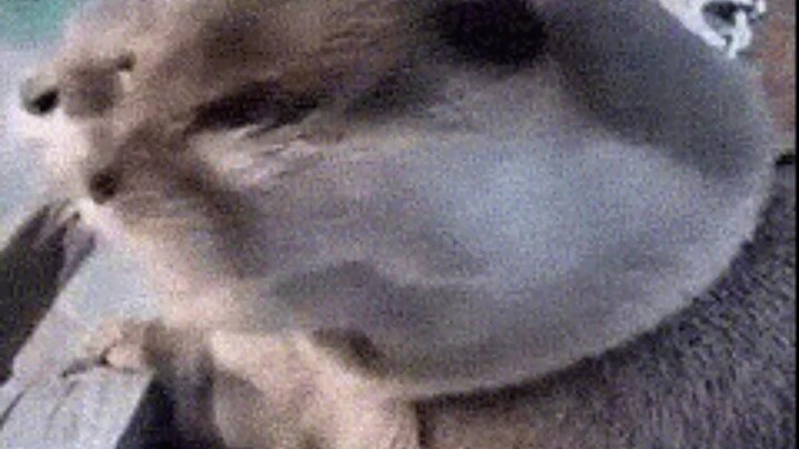 When this whole family gets together, the place is just buzzing with life and warmth!