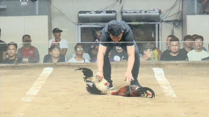 naka chamba