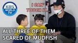 All three of them scared of mudfish [The Return of Superman/2020.05.24]