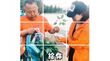 Video hài hước mỗi ngày
