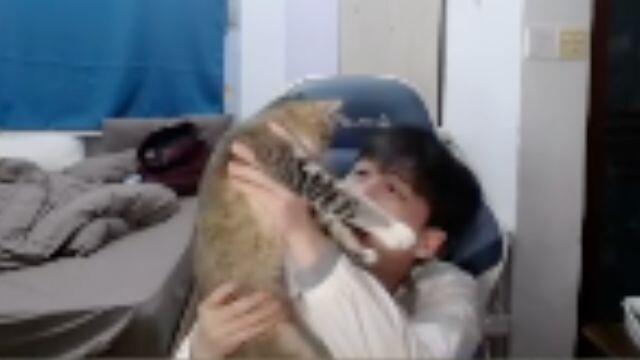Feishaer accidentally locked Mimi in the toilet