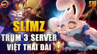 [Liên quân] Lý do Slimz trùm TLT 3 Server Việt + Thái + Đài | Q&A Cùng TNG LQM Mùa 19