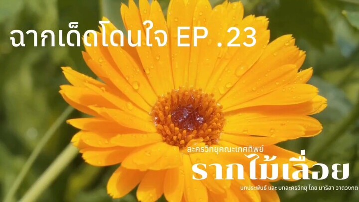 รากไม้เลื่อย ฉากเด็ดโดนใจ EP .23 | ละครวิทยุคณะเกศทิพย์