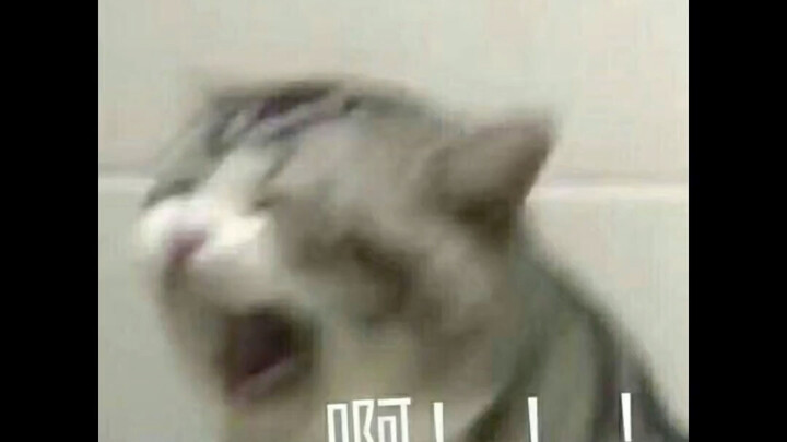 ทำลายความกล้าหาญและความเมตตาที่บุคคลได้สร้างขึ้นอย่างยากลำบากได้อย่างง่ายดาย