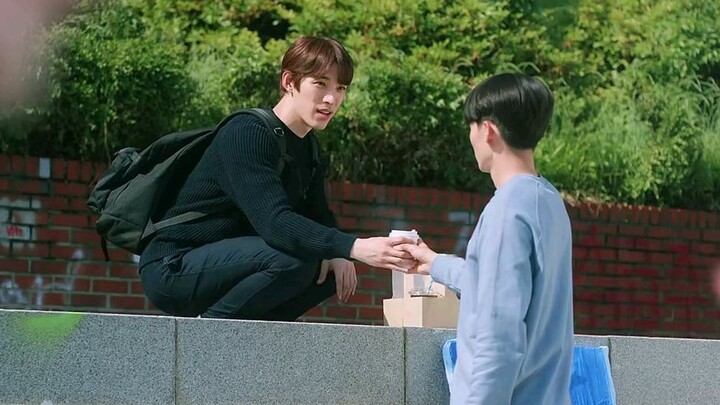 Gentle and straight ball is specially used to treat sensitive and arrogant people [Blueming blooms f