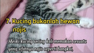 kucing